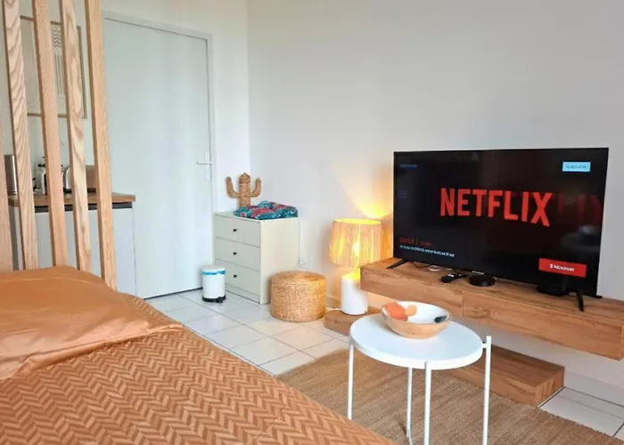 Le Petit Bali - Studio De Standing Avec Wi-Fi & Tv, Proche Tramway