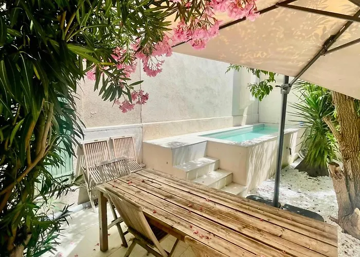 NOCNOC - Le Zellige - Petite piscine et jardin en ville